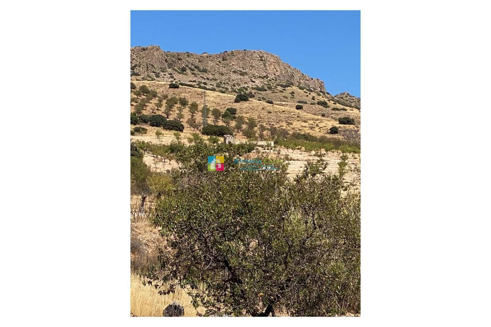 5 soveværelse Finca/Landehus til salg i Saliente Alto med swimmingpool garage - € 219.500 (Ref: 3196560)