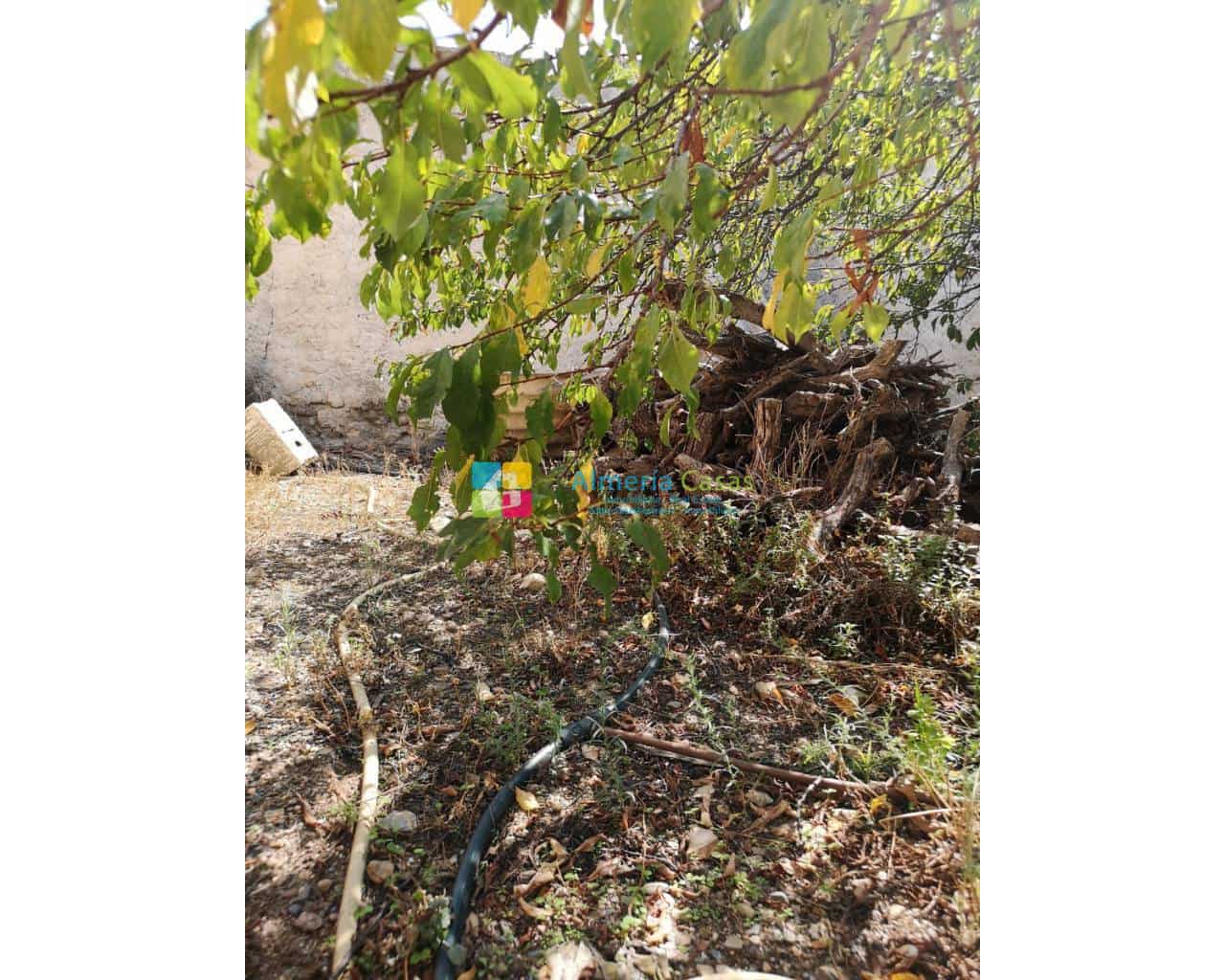 5 soveværelse Finca/Landehus til salg i Albox - € 104.500 (Ref: 4235537)