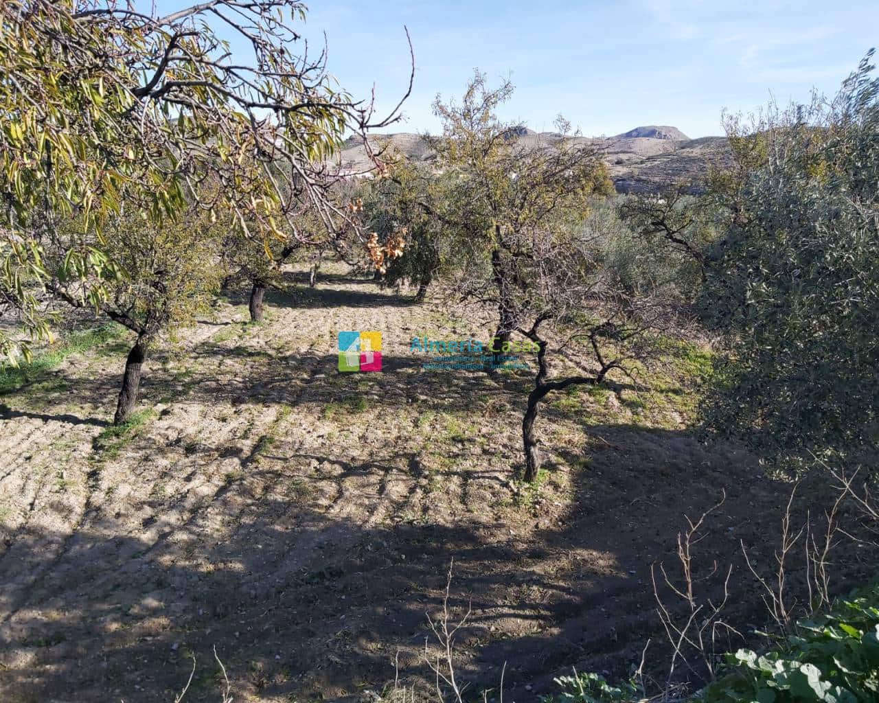 3 soveværelse Finca/Landehus til salg i Albox - € 50.000 (Ref: 4962779)