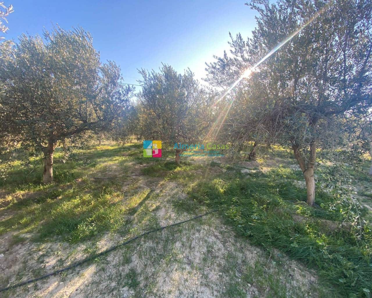 2 camera da letto Finca/Casa di Campagna in vendita in Fines - 86.000 € (Rif: 7385699)