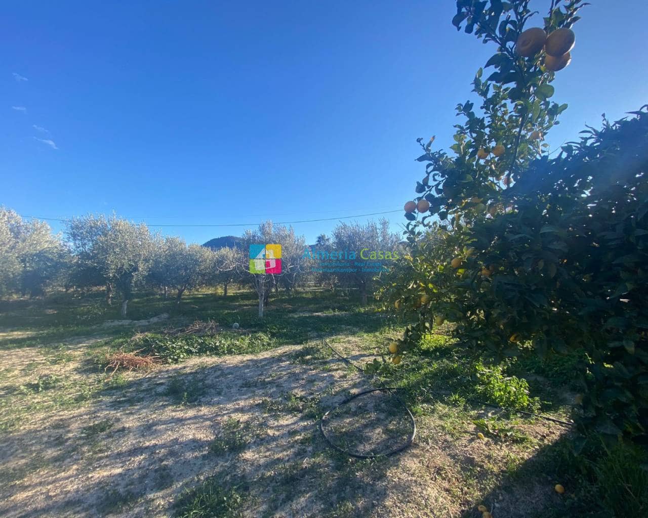 2 camera da letto Finca/Casa di Campagna in vendita in Fines - 86.000 € (Rif: 7385699)