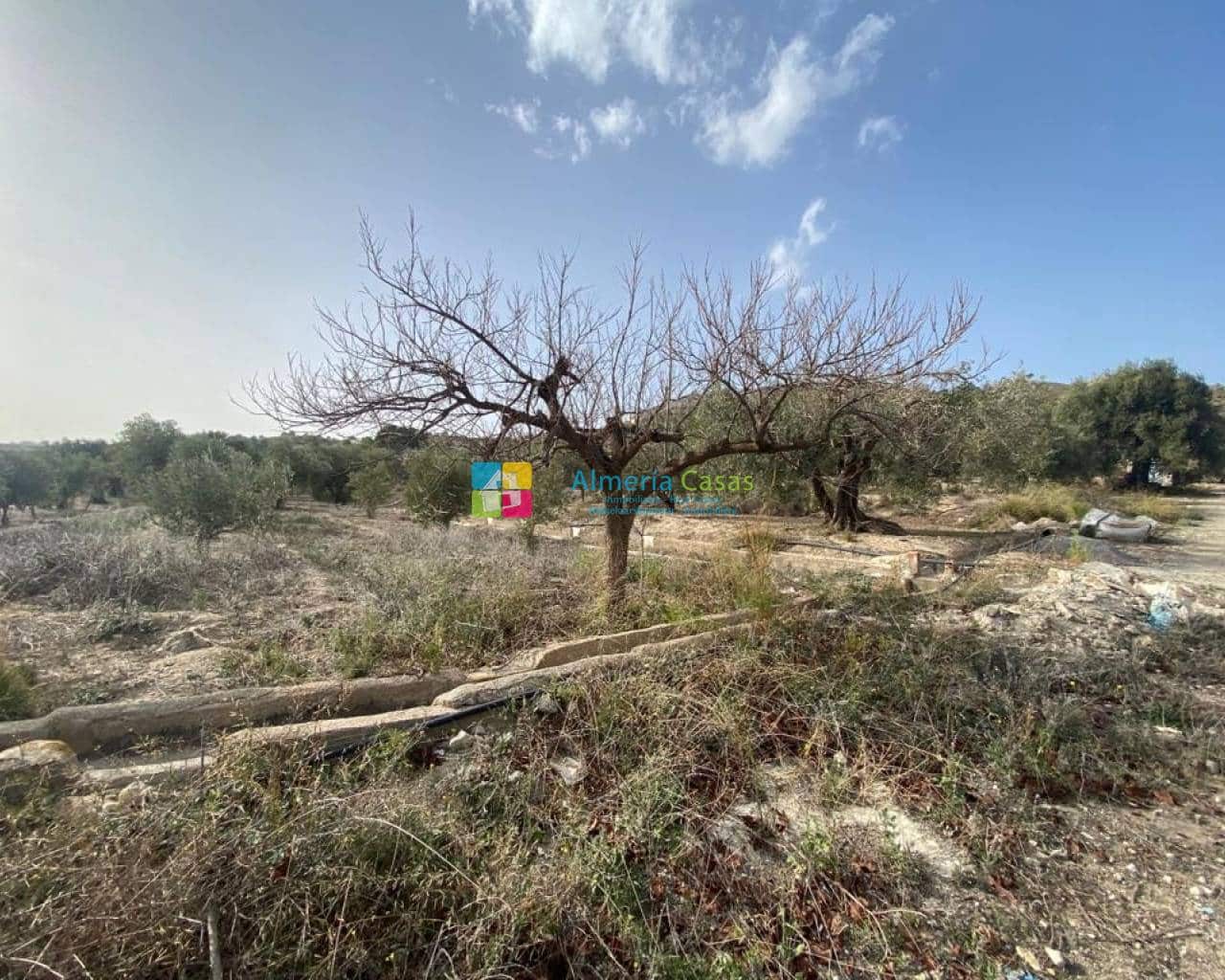 1 soveværelse Finca/Landehus til salg i Urracal - € 43.000 (Ref: 7480805)