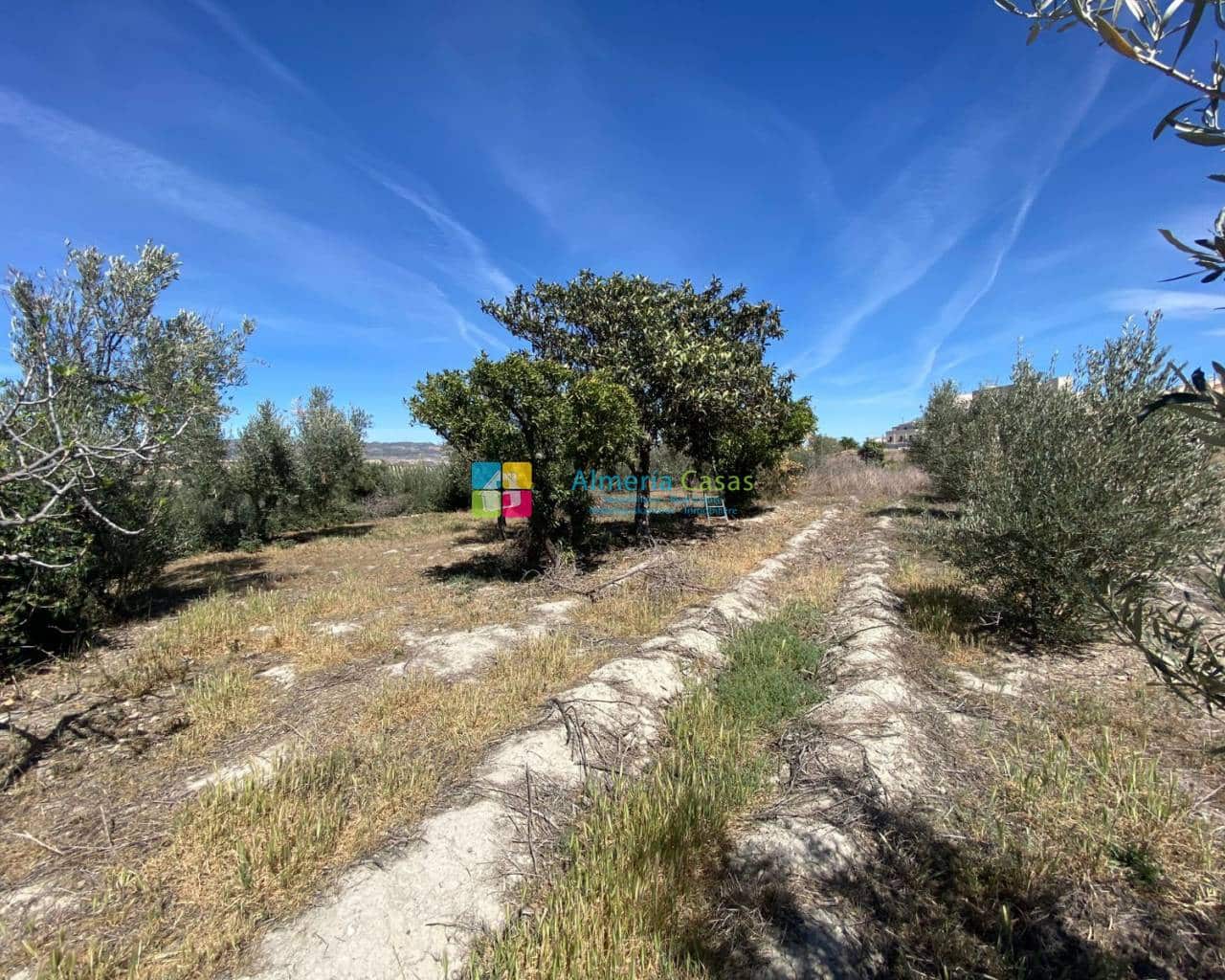 Finca/Country House for sale in Tijola - € 51,000 (Ref: 7529601)