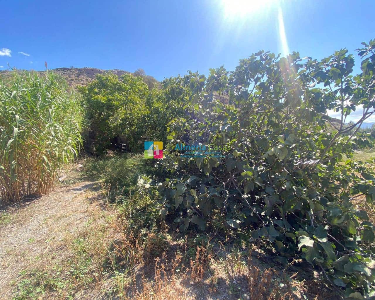 1 soveværelse Finca/Landehus til salg i Lucar - € 70.000 (Ref: 7825989)