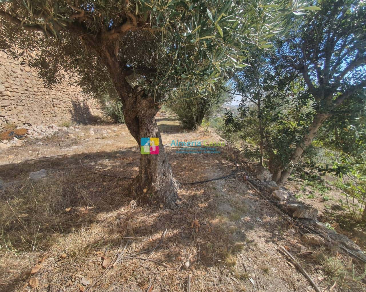 2 soveværelse Byhus til salg i Oria - € 69.000 (Ref: 7873418)