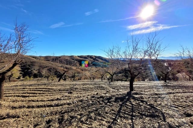 Mark till salu i Vélez-Rubio - 54 500 € (Ref: 7977938)