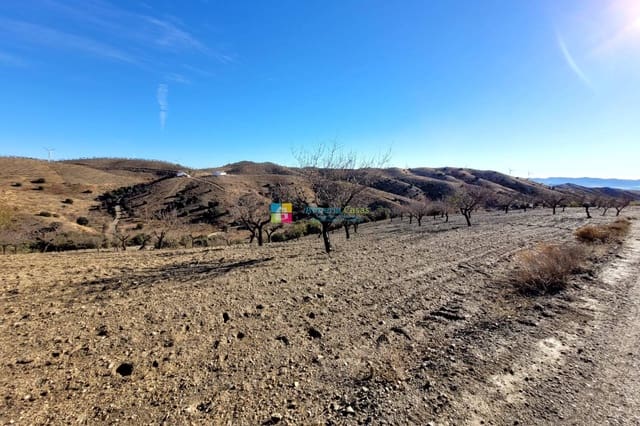 Mark till salu i Vélez-Rubio - 54 500 € (Ref: 7977938)