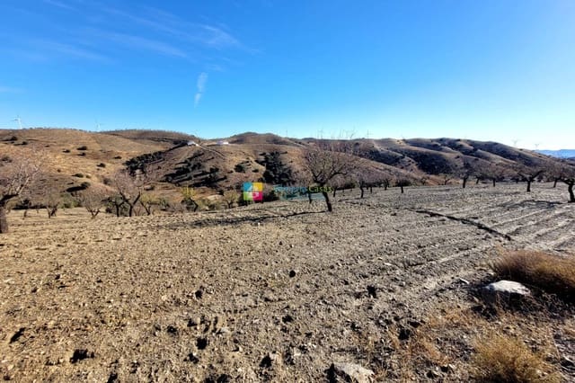 Mark till salu i Vélez-Rubio - 54 500 € (Ref: 7977938)