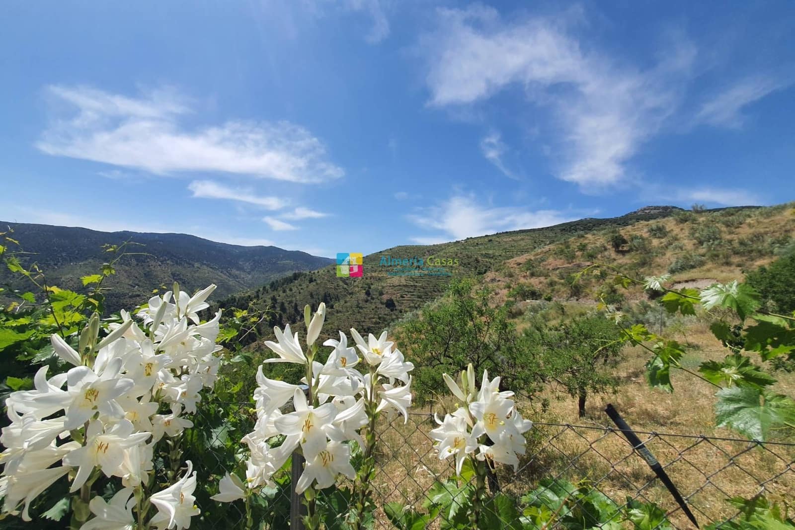 5 soveværelse Finca/Landehus til salg i Sierro - € 269.000 (Ref: 8370045)