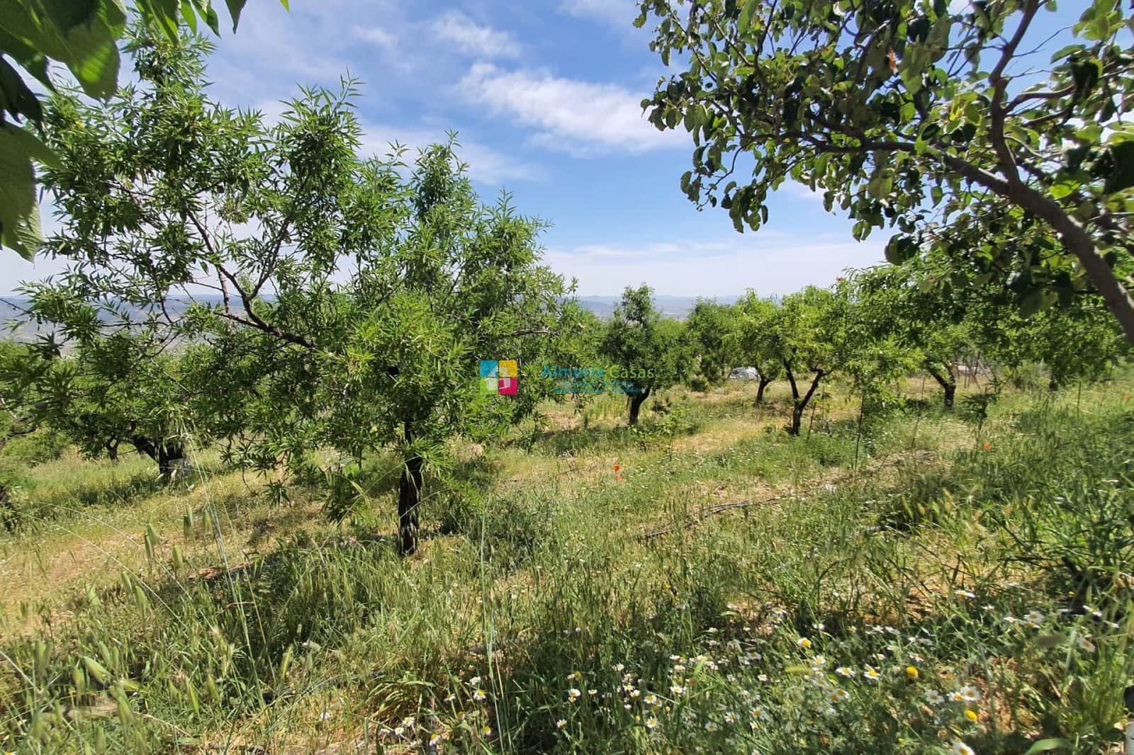 5 soveværelse Finca/Landehus til salg i Sierro - € 269.000 (Ref: 8370045)