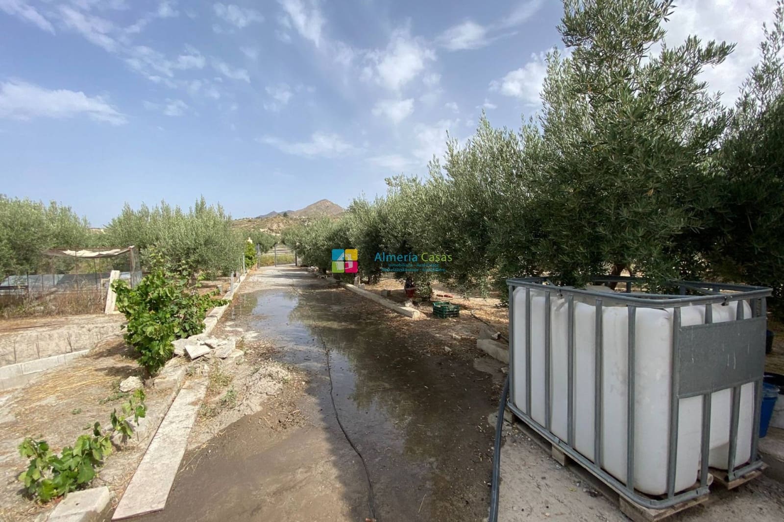 4 soveværelse Finca/Landehus til salg i Lucar - € 129.000 (Ref: 8453053)