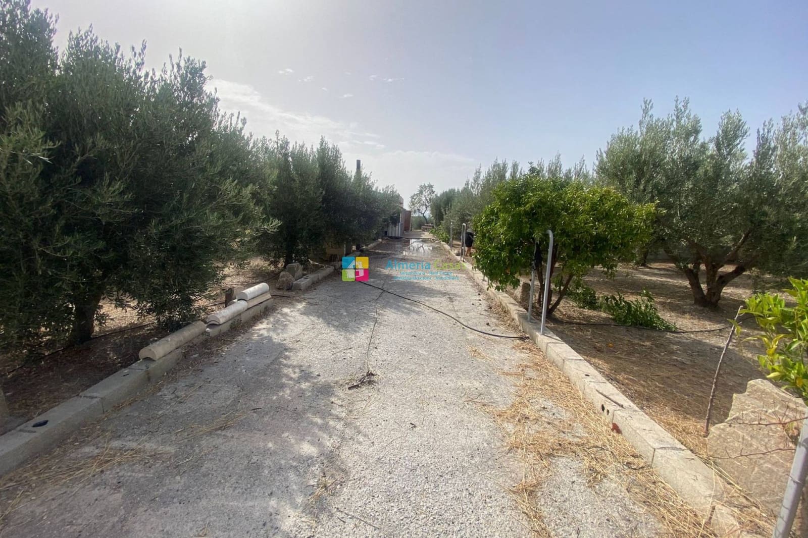 4 soveværelse Finca/Landehus til salg i Lucar - € 129.000 (Ref: 8453053)