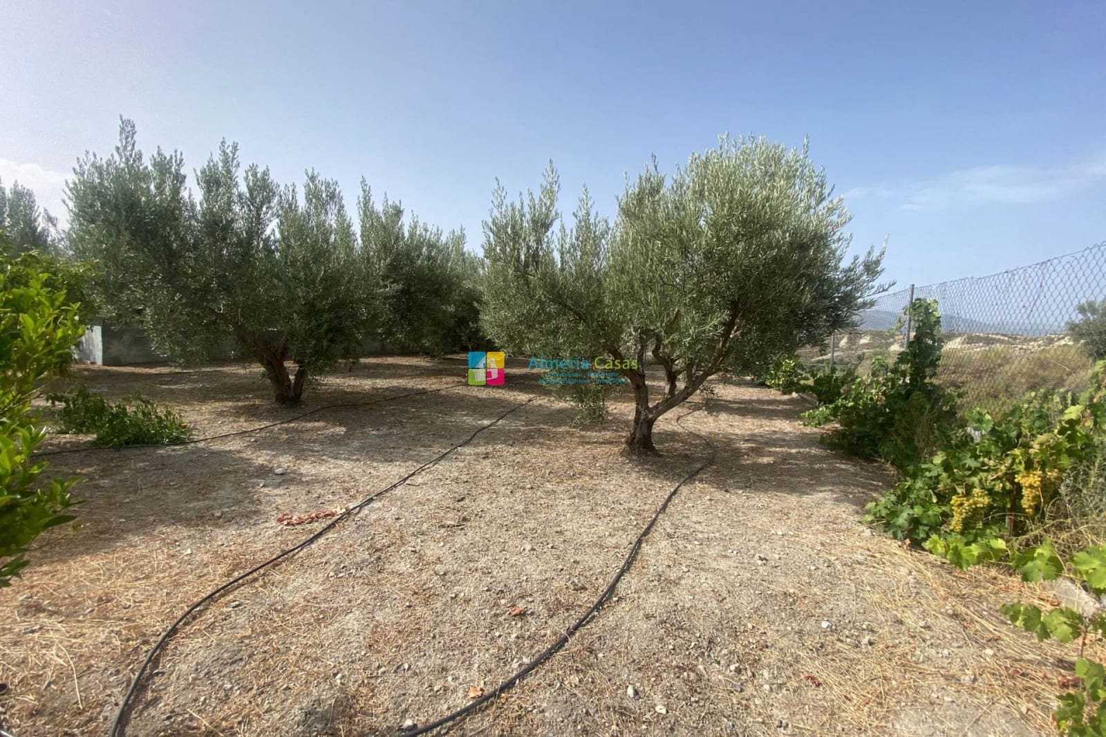 4 soveværelse Finca/Landehus til salg i Lucar - € 129.000 (Ref: 8453053)