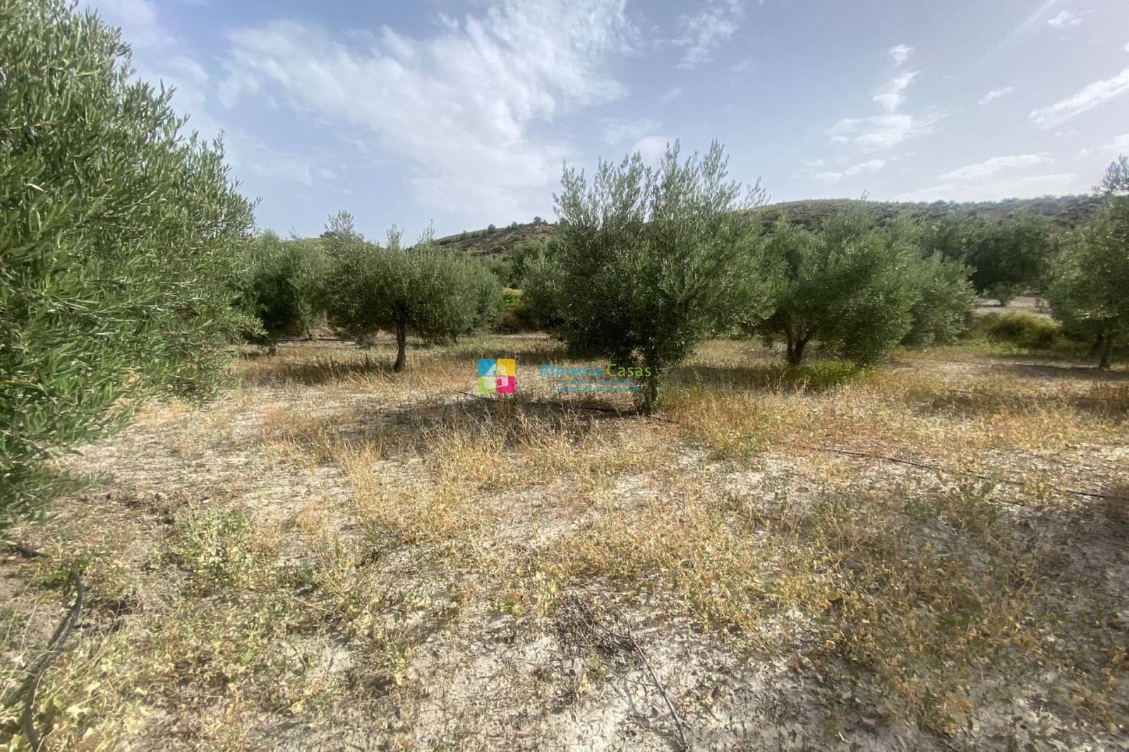 4 soveværelse Finca/Landehus til salg i Lucar - € 129.000 (Ref: 8453053)