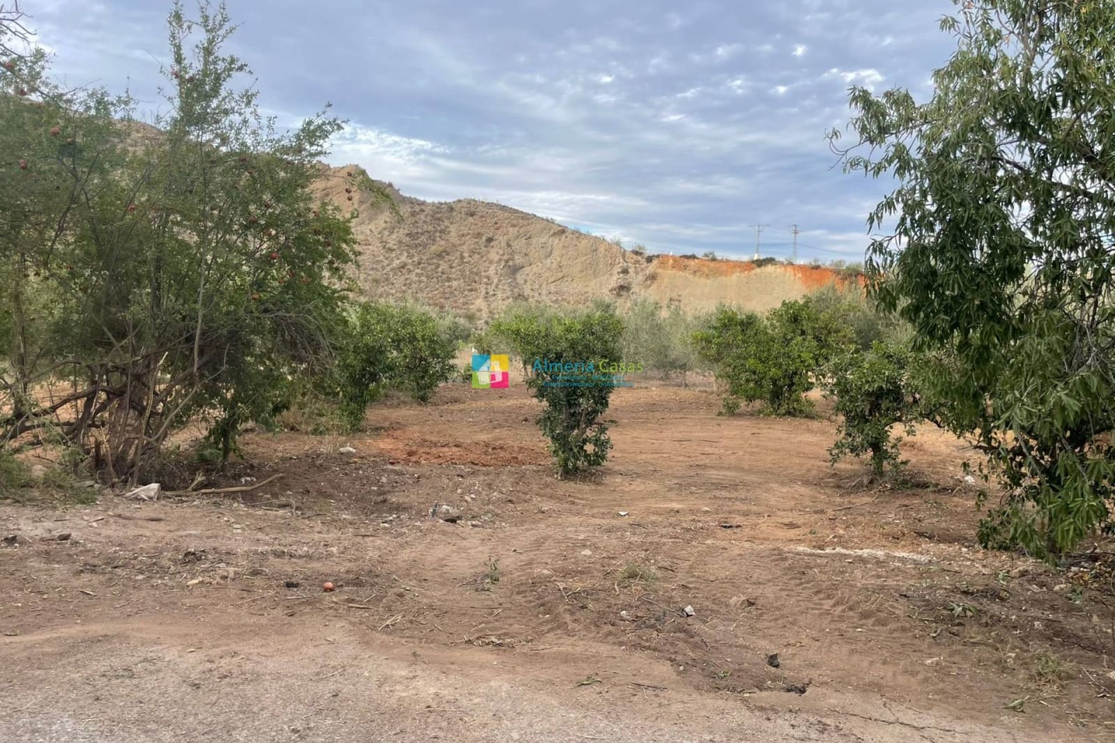 2 sovrum Finca/Hus på landet till salu i Cantoria - 23 000 € (Ref: 8640071)