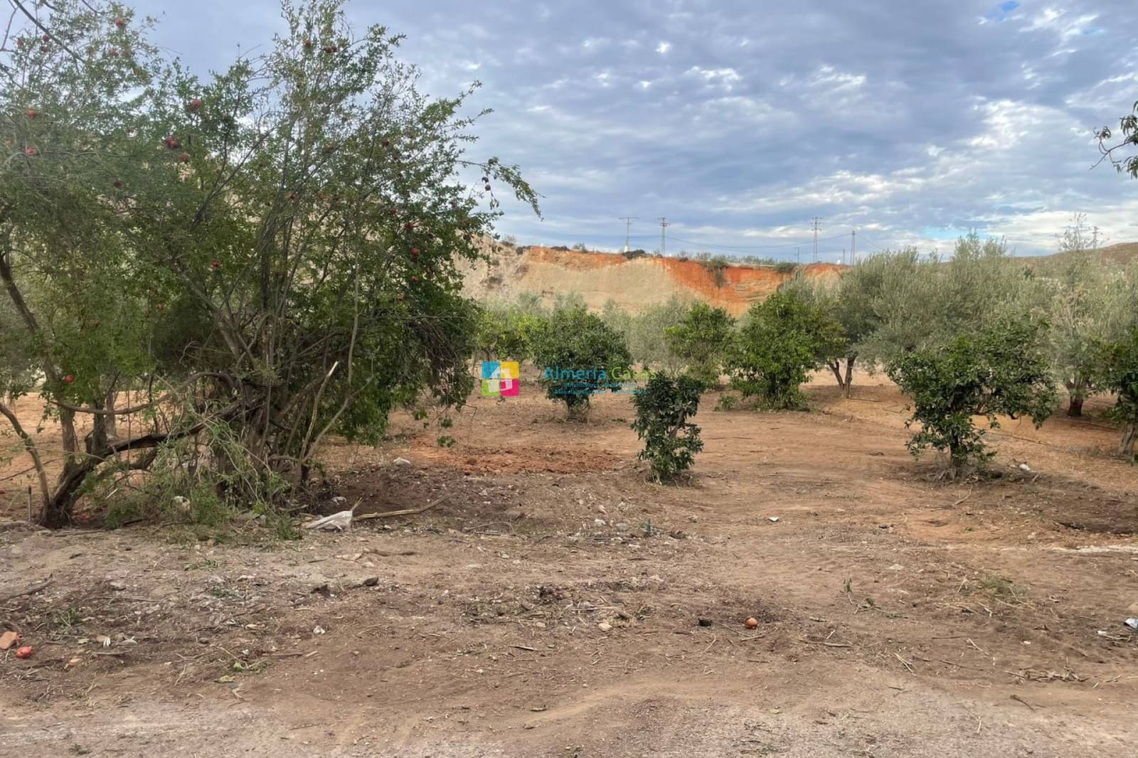 2 sovrum Finca/Hus på landet till salu i Cantoria - 23 000 € (Ref: 8640071)