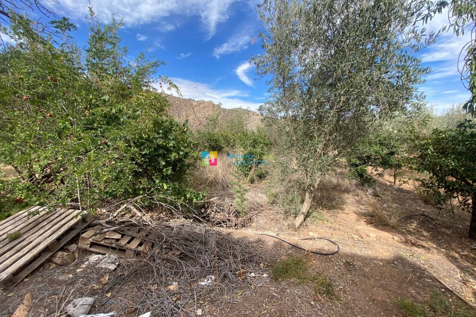 2 sovrum Finca/Hus på landet till salu i Cantoria - 23 000 € (Ref: 8640071)