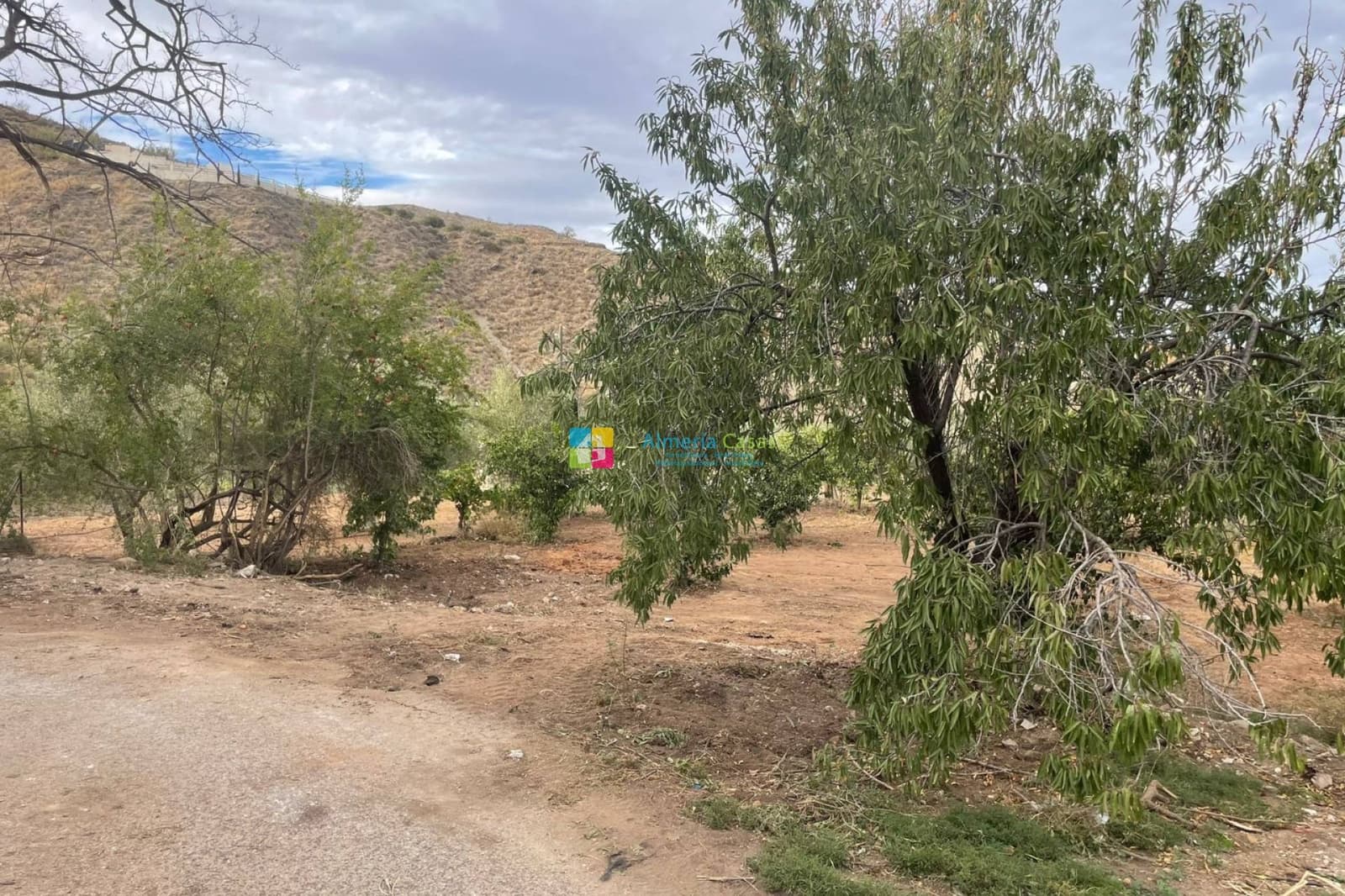 2 sovrum Finca/Hus på landet till salu i Cantoria - 23 000 € (Ref: 8640071)