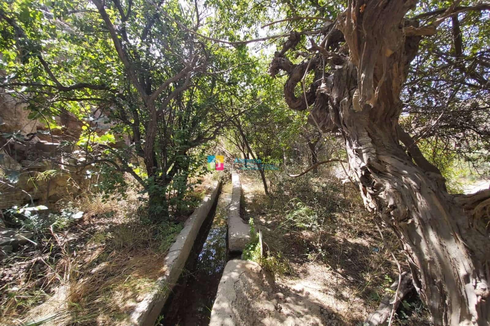 3 soveværelse Finca/Landehus til salg i Albox - € 60.000 (Ref: 8751866)