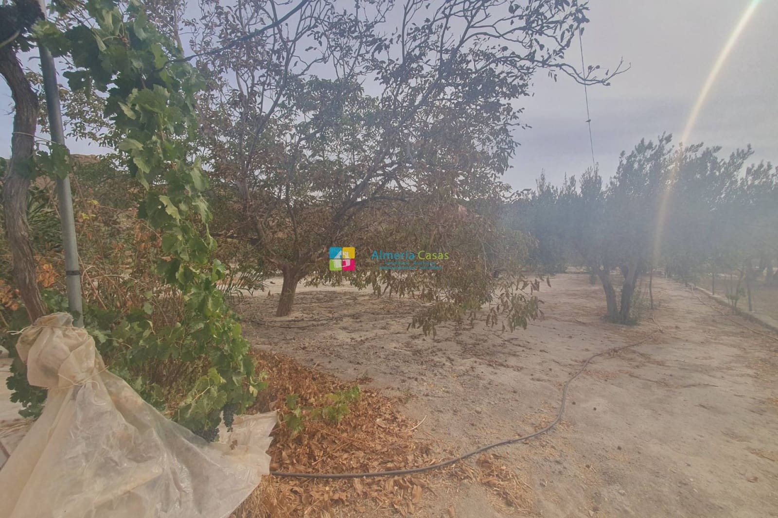 2 soveværelse Finca/Landehus til salg i Purchena - € 70.000 (Ref: 8765695)