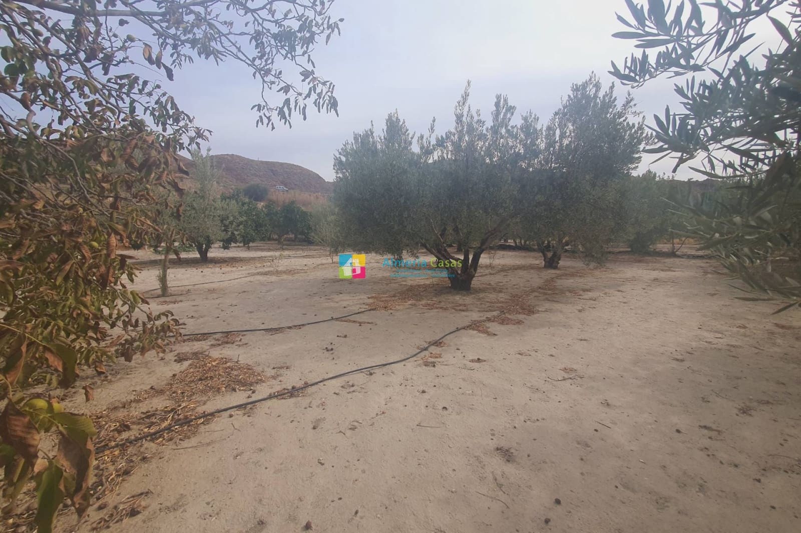 2 soveværelse Finca/Landehus til salg i Purchena - € 70.000 (Ref: 8765695)