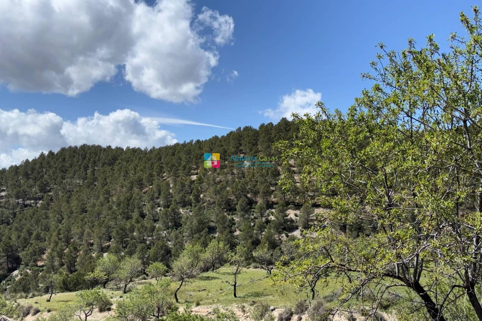 3 soveværelse Finca/Landehus til salg i Lucar - € 110.000 (Ref: 8916761)