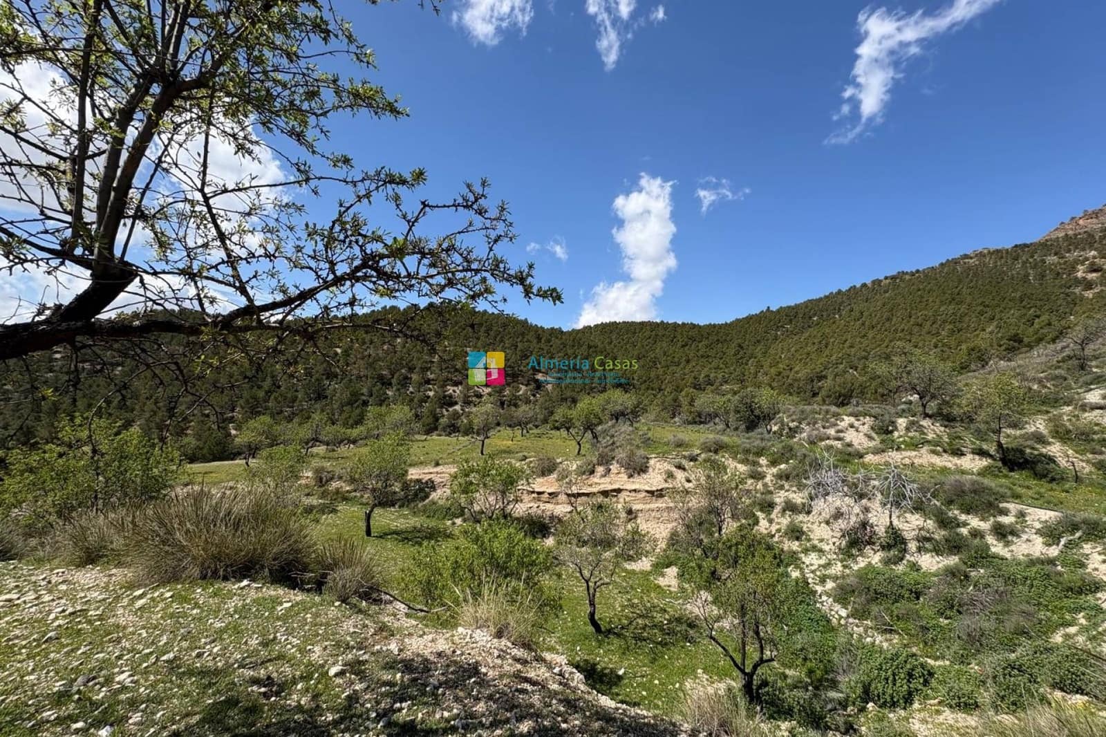 3 soveværelse Finca/Landehus til salg i Lucar - € 110.000 (Ref: 8916761)