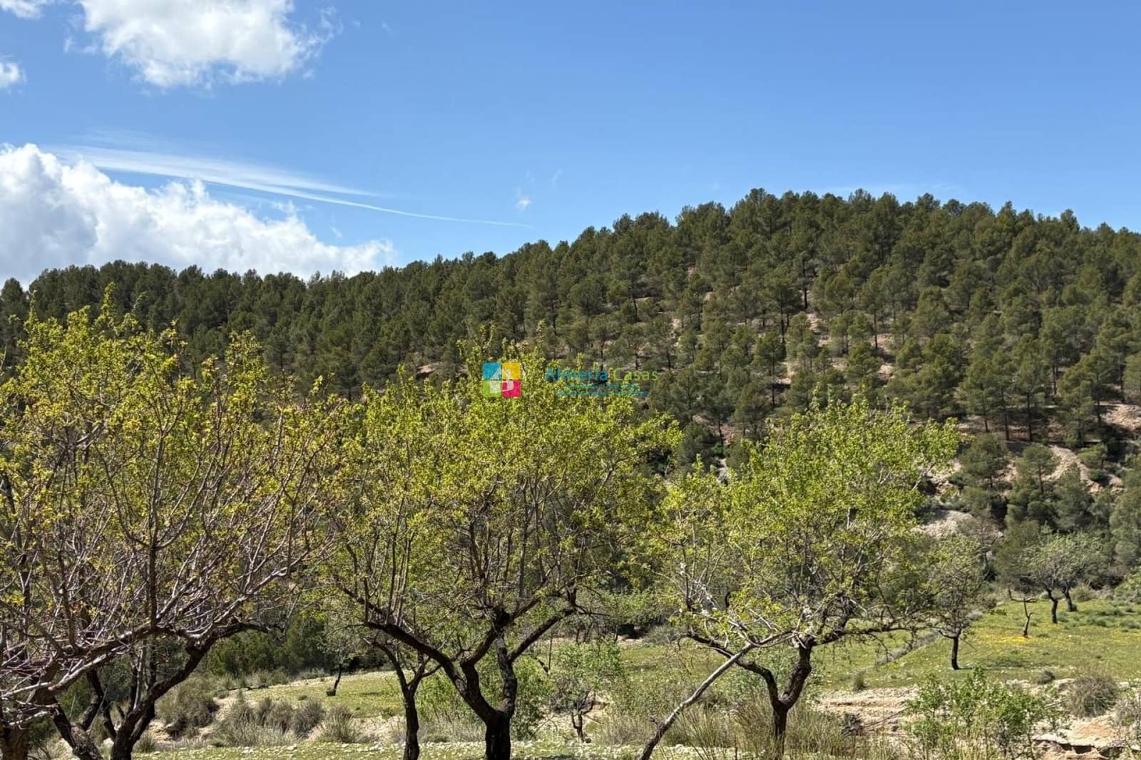 3 soveværelse Finca/Landehus til salg i Lucar - € 110.000 (Ref: 8916761)