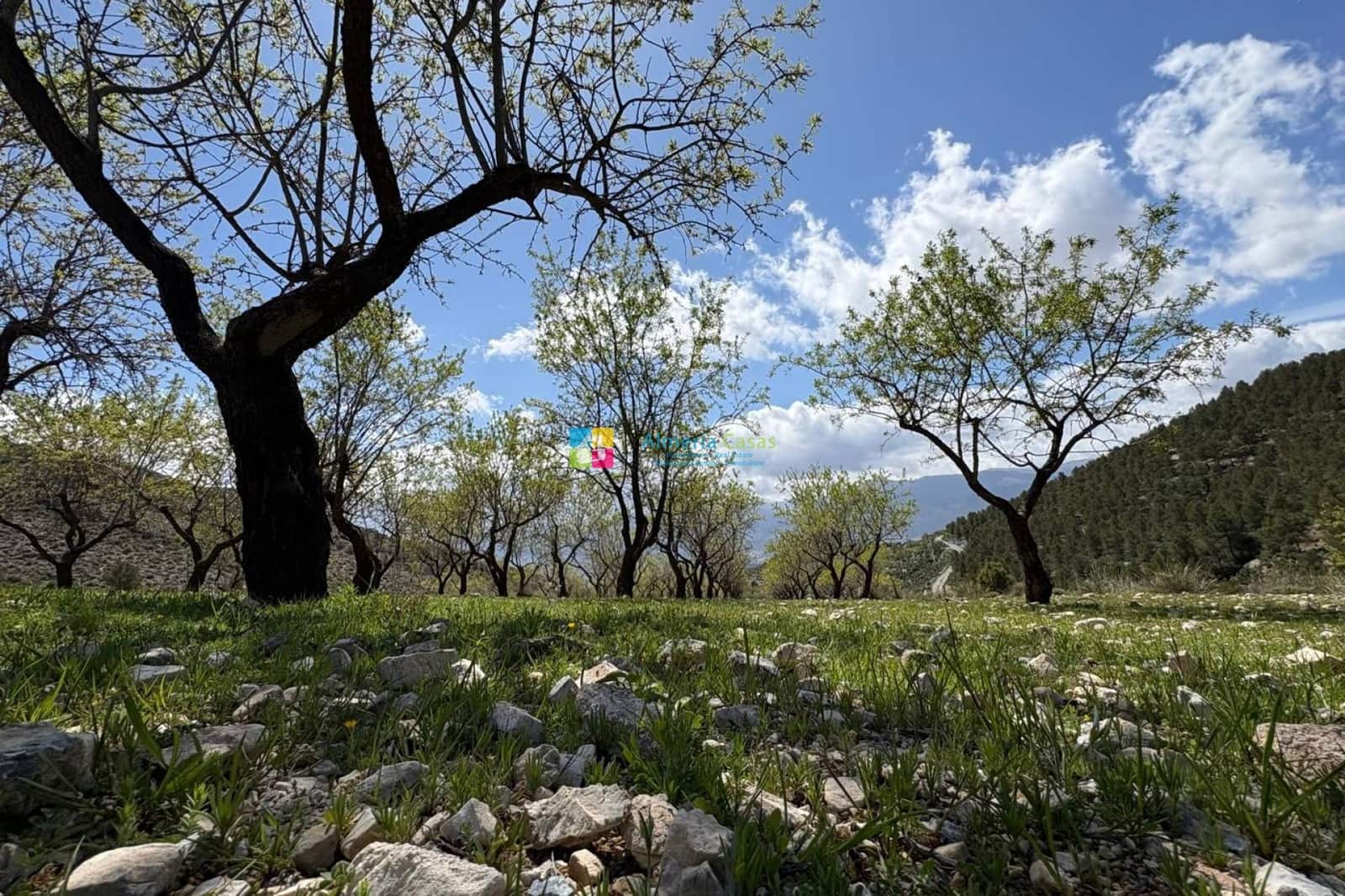 3 soveværelse Finca/Landehus til salg i Lucar - € 110.000 (Ref: 8916761)