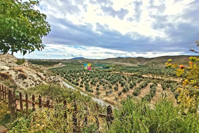 4 bedroom Cave House for sale in Cúllar with pool - € 550,000 (Ref: 9158389)