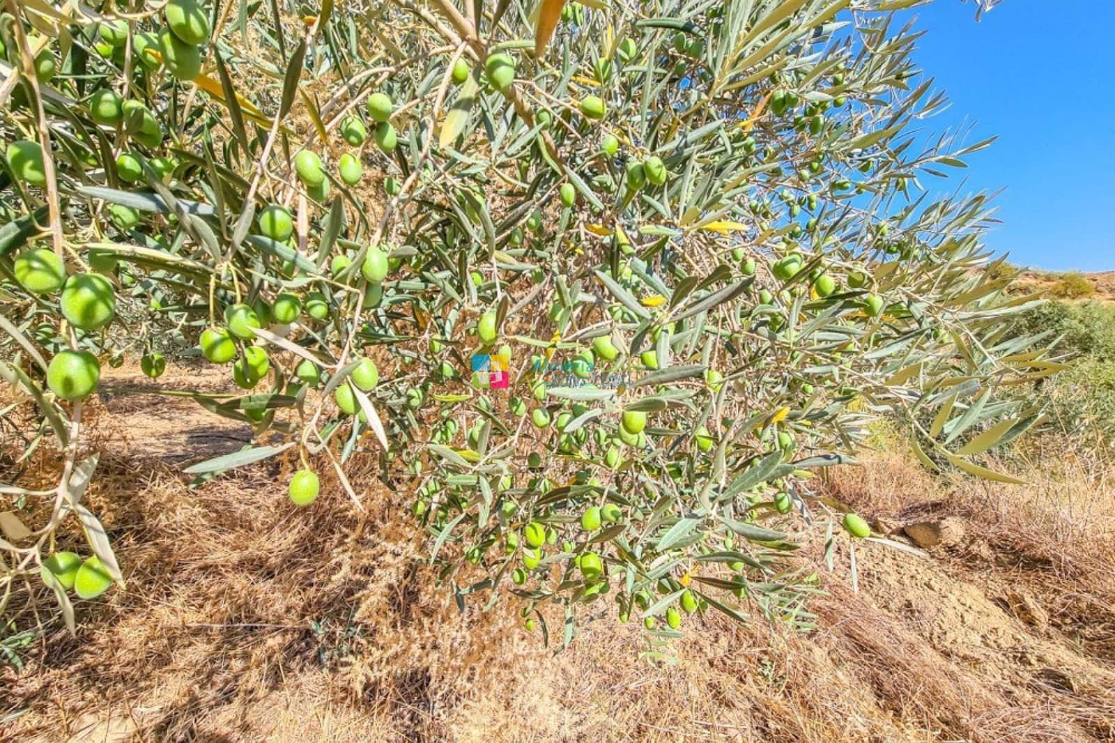 4 sovrum Finca/Hus på landet till salu i Lubrin med garage - 349 950 € (Ref: 9170482)