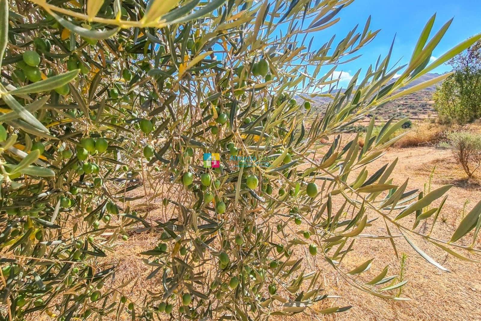 4 sovrum Finca/Hus på landet till salu i Lubrin med garage - 349 950 € (Ref: 9170482)