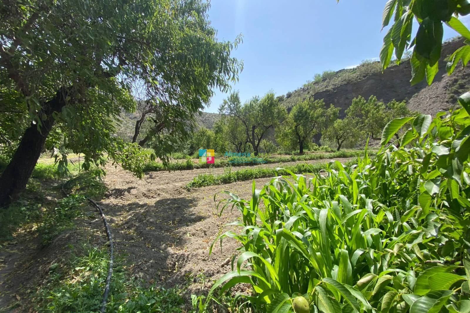 5 soveværelse Villa til salg i Lucar med swimmingpool garage - € 249.000 (Ref: 9254154)