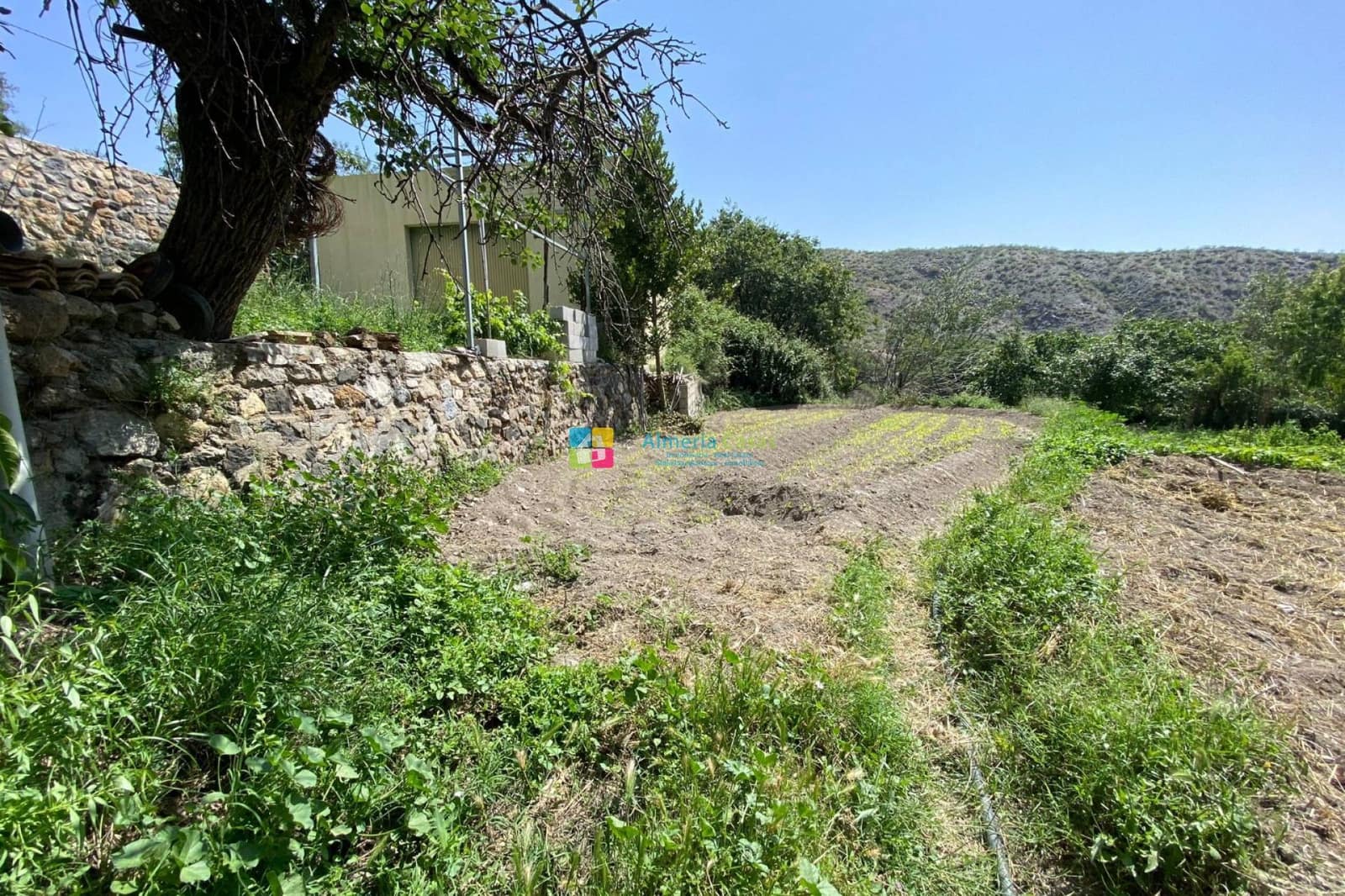 5 soveværelse Villa til salg i Lucar med swimmingpool garage - € 249.000 (Ref: 9254154)