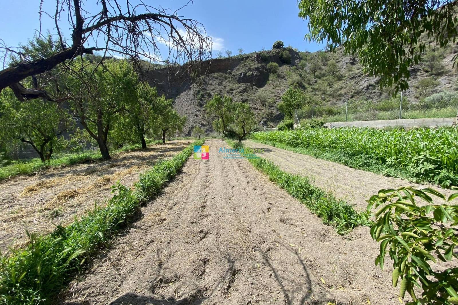 5 soveværelse Villa til salg i Lucar med swimmingpool garage - € 249.000 (Ref: 9254154)