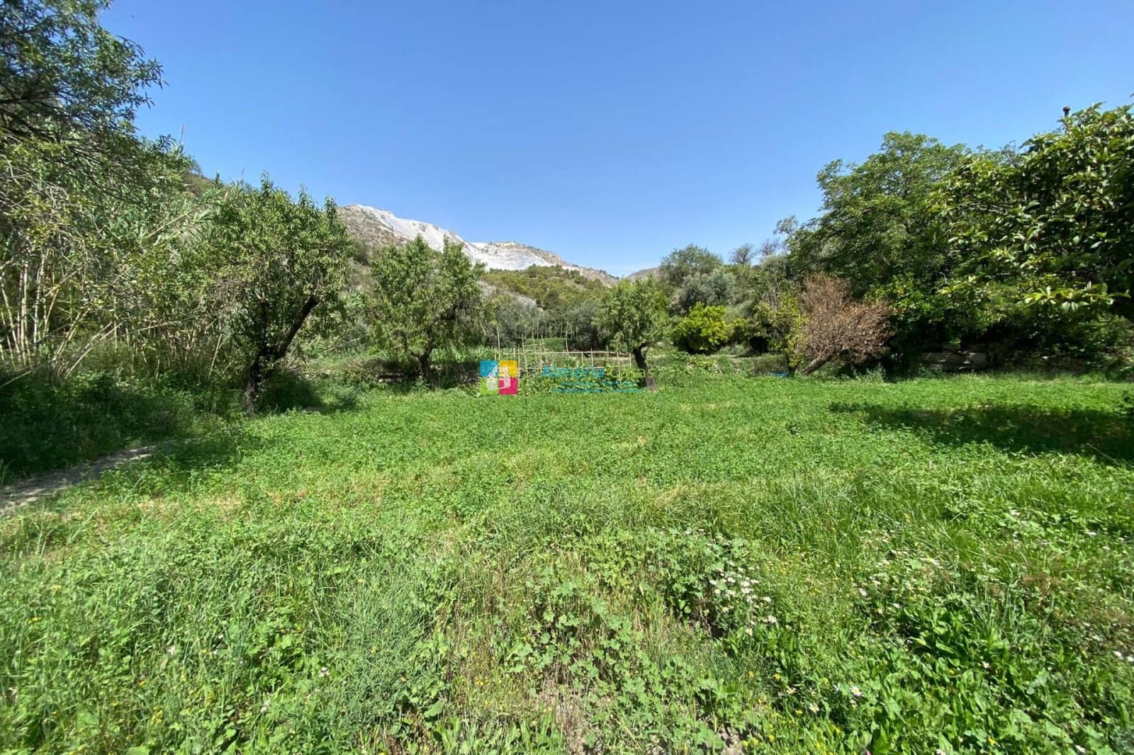 5 soveværelse Villa til salg i Lucar med swimmingpool garage - € 249.000 (Ref: 9254154)