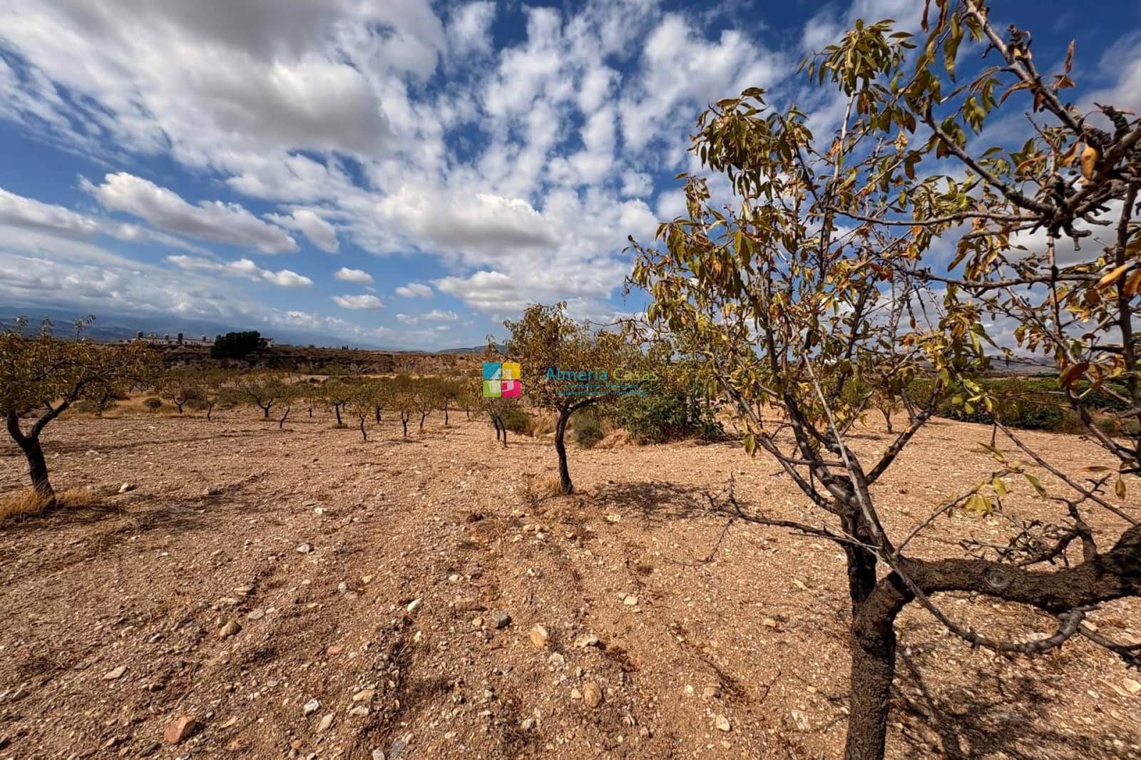 Finca/Country House for sale in Taberno - € 80,000 (Ref: 9270546)