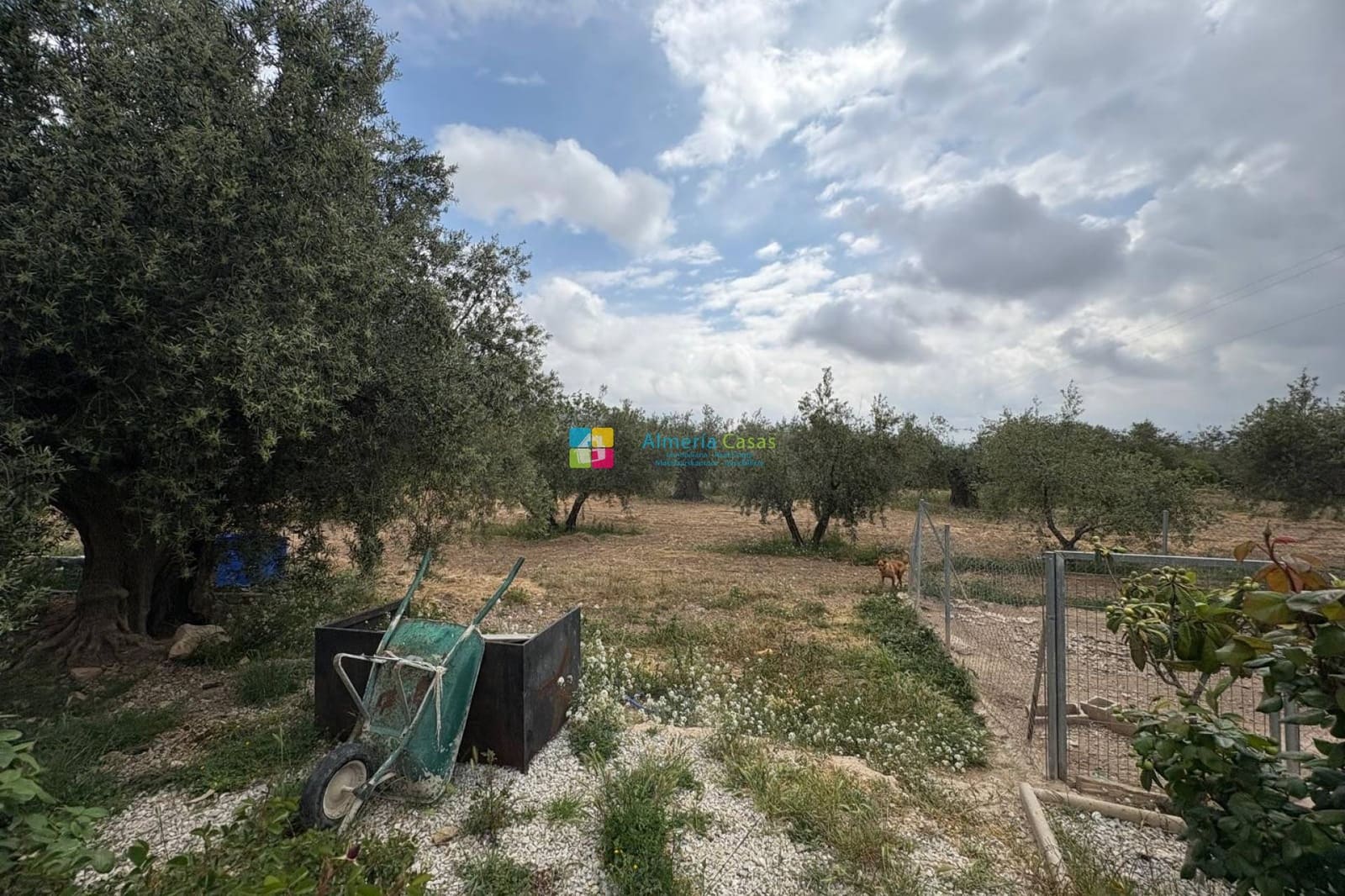 2 sovrum Finca/Hus på landet till salu i Velez-Rubio med garage - 219 000 € (Ref: 9272844)