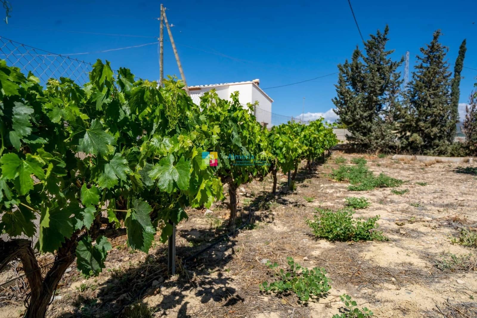 5 soveværelse Finca/Landehus til salg i Cantoria - € 240.000 (Ref: 9325245)