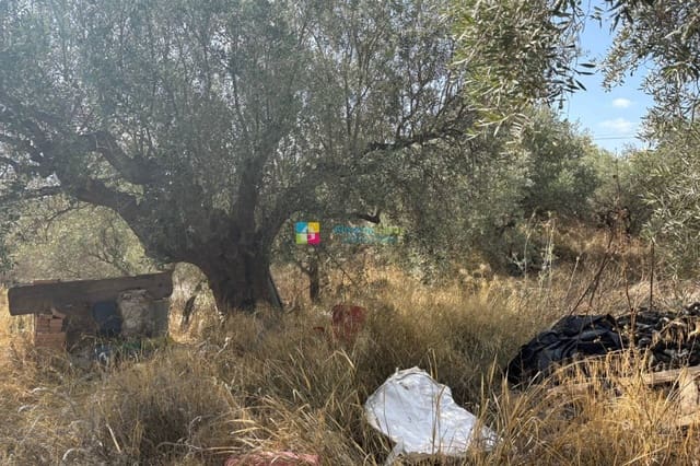 Quinta/Casa Rural para venda em Somontín - 29 950 € (Ref: 9328533)