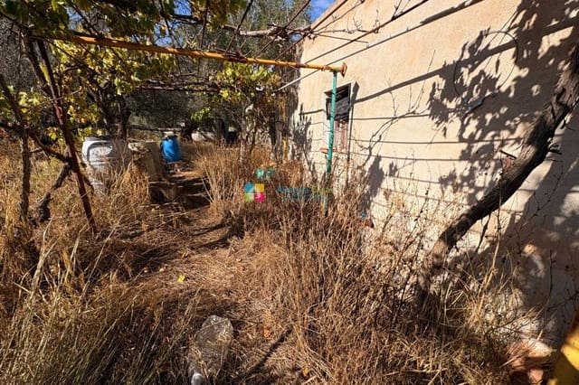 Quinta/Casa Rural para venda em Somontín - 29 950 € (Ref: 9328533)