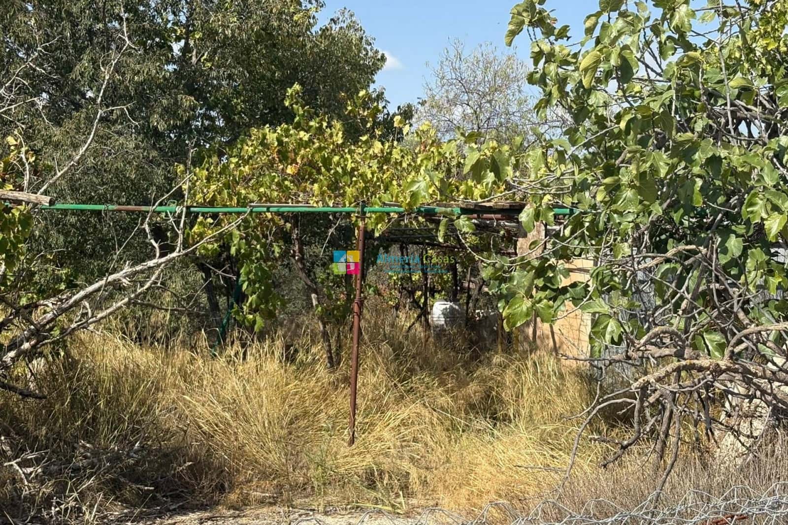 Quinta/Casa Rural para venda em Somontin - 29 950 € (Ref: 9328533)