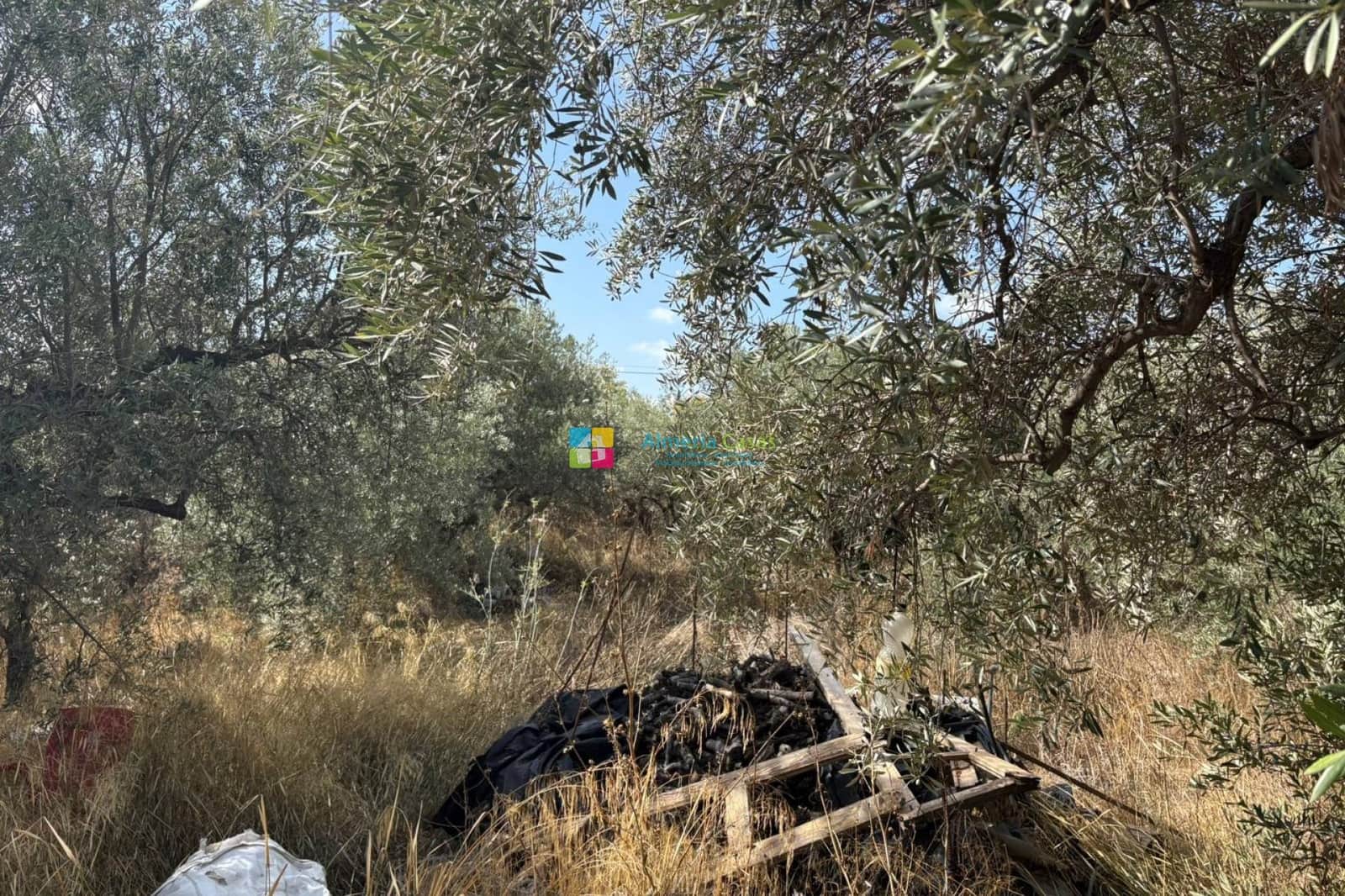 Quinta/Casa Rural para venda em Somontin - 29 950 € (Ref: 9328533)