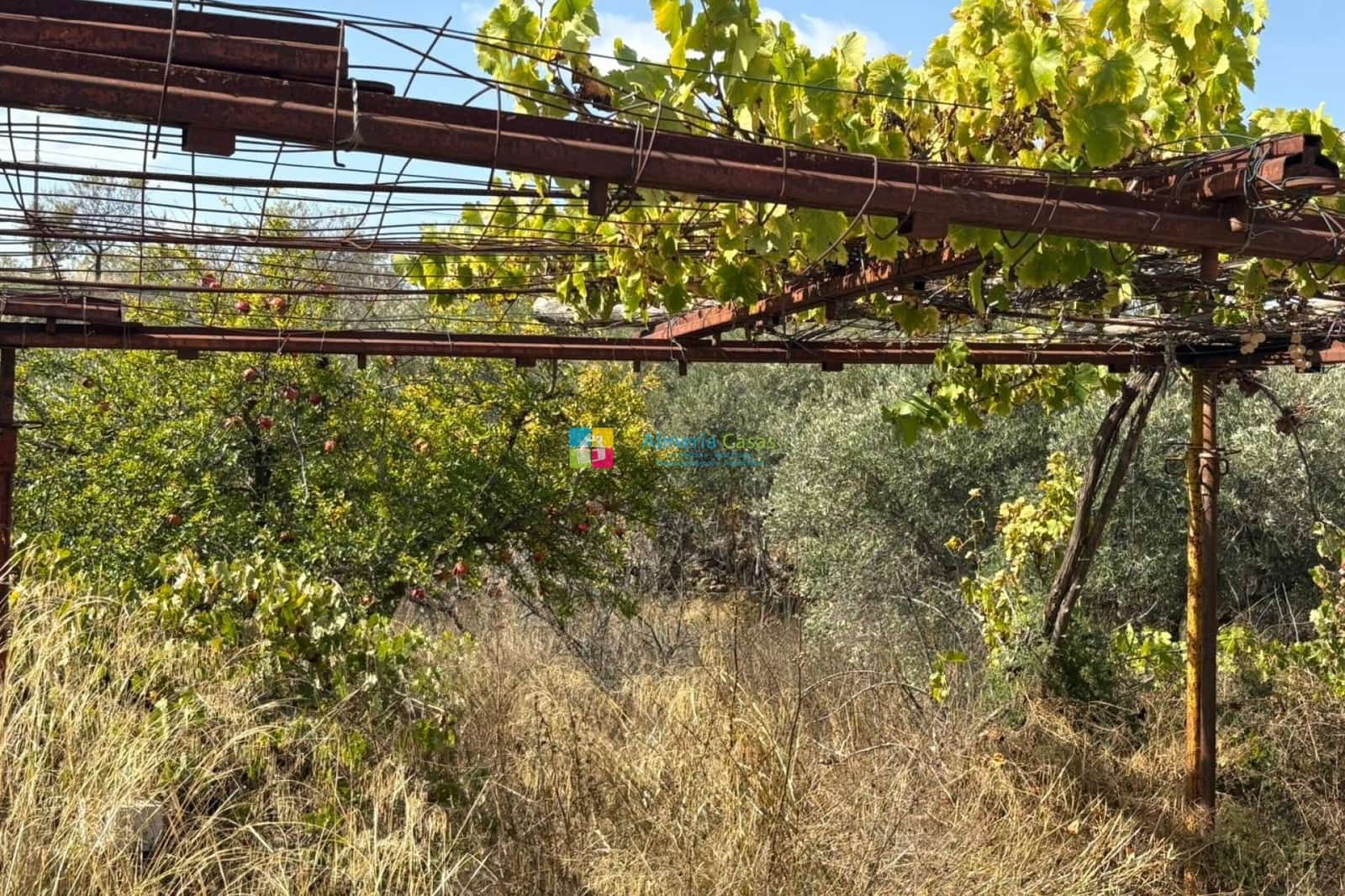 Quinta/Casa Rural para venda em Somontin - 29 950 € (Ref: 9328533)