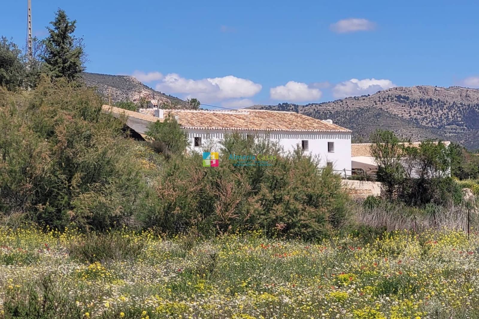 7 soveværelse Finca/Landehus til salg i Velez-Blanco - € 475.000 (Ref: 9369359)