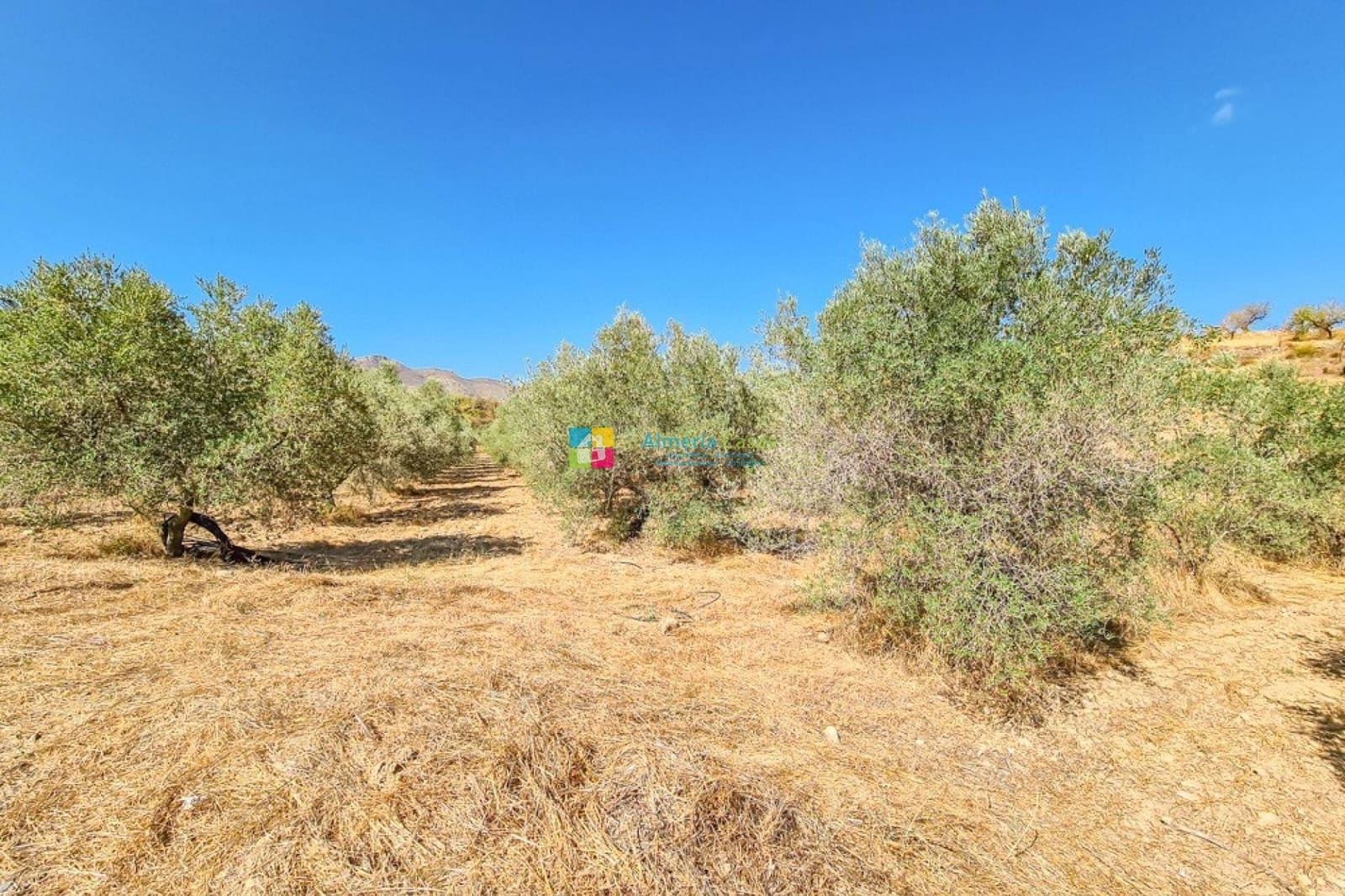 4 makuuhuone Maalaistalo myytävänä paikassa Lubrin mukana 
autotalli - 349 950 € (Ref: 9495254)