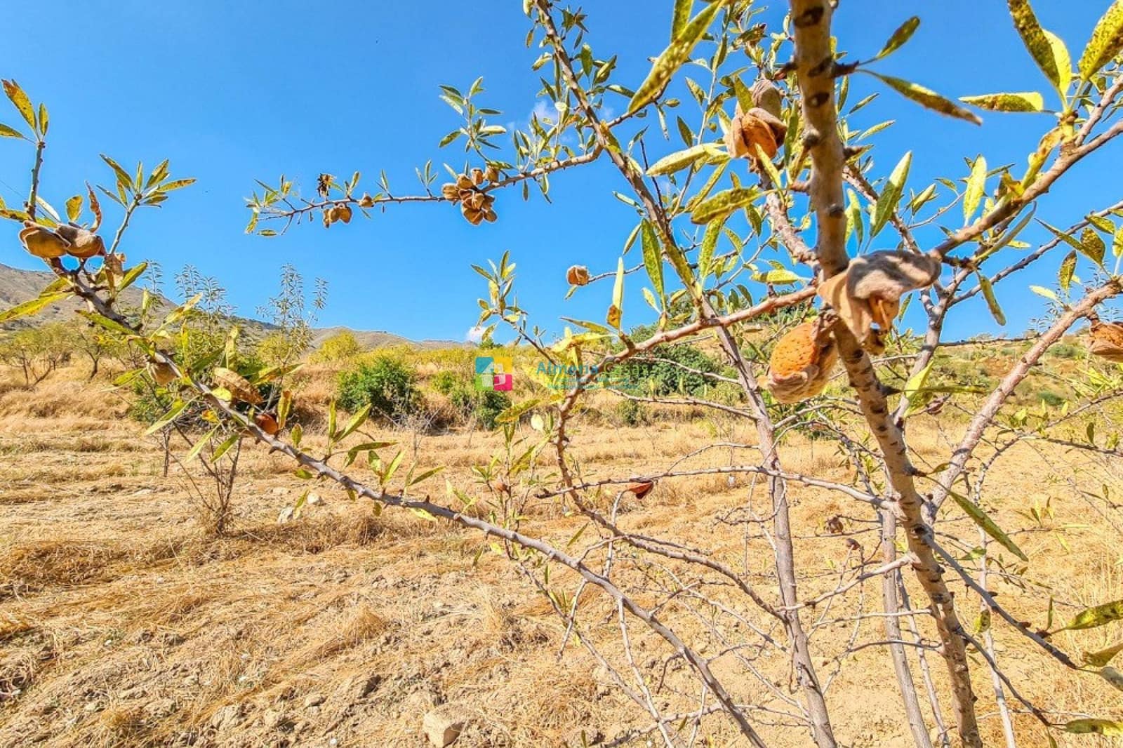 4 makuuhuone Maalaistalo myytävänä paikassa Lubrin mukana 
autotalli - 349 950 € (Ref: 9495254)