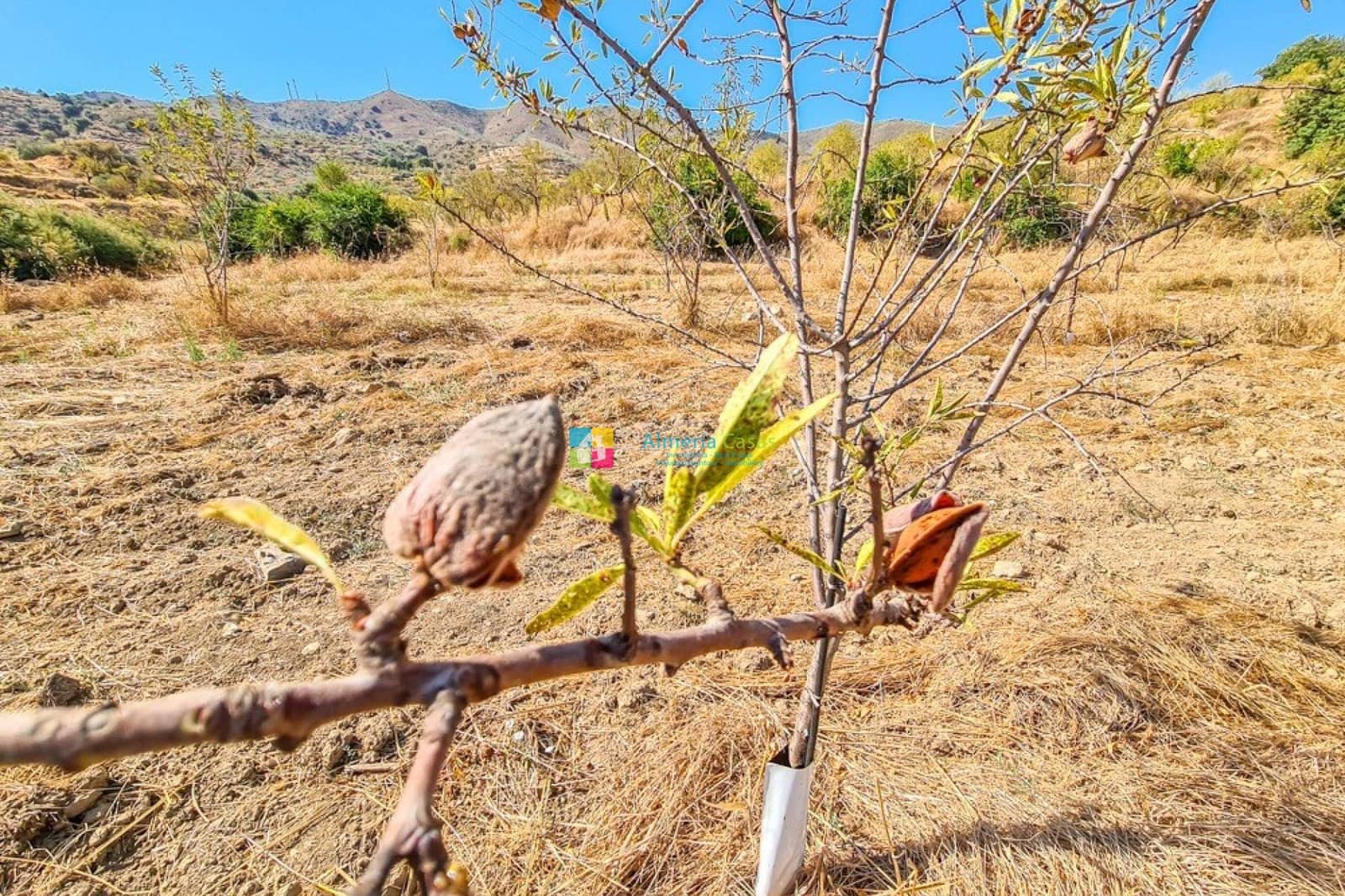 4 makuuhuone Maalaistalo myytävänä paikassa Lubrin mukana 
autotalli - 349 950 € (Ref: 9495254)