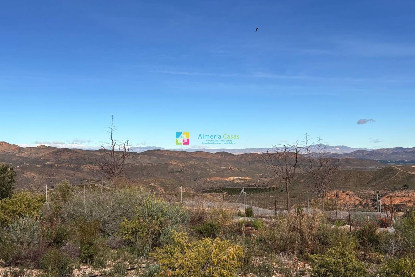 3 bedroom Finca/Country House for sale in Antas - € 149,000 (Ref: 9503024)