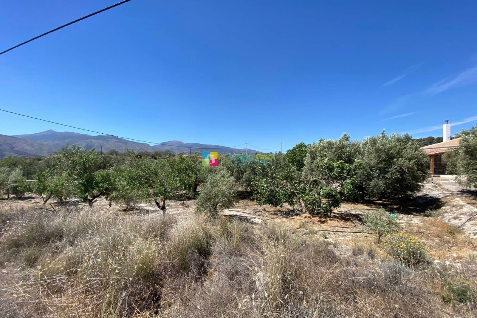 2 chambre Finca/Maison de Campagne à vendre à Somontin avec garage - 142 000 € (Ref: 9538880)